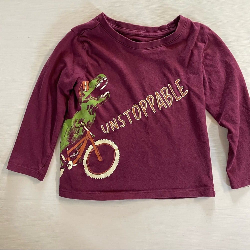 Maximus‎ Rex Unstoppable Kids Dinosaur Shirt